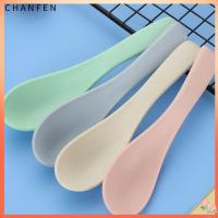 CHANFEN เครื่องใช้สำหรับโต๊ะอาหารที่ใช้ในครัวสำหรับเด็กช้อนซุปฟางข้าวสาลีด้ามยาว