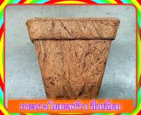 [ 1 อัน ] กระถาง ใยมะพร้าว สี่เหลี่ยม ขนาดกลาง 25 x 25 cm อุปกรณ์ งานสวน ปลูกพืช