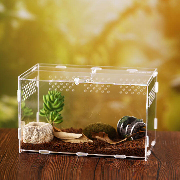 Acrylic Reptile Breeding Tank Habitat Terrariums Feeding for Tarantula
