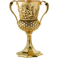 Noble Collection Harry Potter The Hufflepuff Cup
