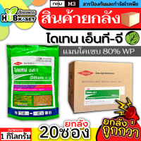 ?? สินค้ายกลัง ?? ไดเทน เอ็นที-จี(เขียว) 1กิโลกรัม*20ซอง (แมนโคเซบ) ป้องกันเชื้อรา ใบไหม้ เมล็ดด่าง กุ้งแห้งในพริก