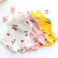 Dog Clothing for Spring and Summer Thin Small Size Dogs and Cat Princess Style Multi Colors Pet Skirt with Cherry Printing Clothing Shoes Accessories