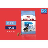 นาทีทอง ส่งฟรี Royal Canin MAXI Puppy Dog Food ขนาด 1 kg อาหารลูกสุนัข พันธุ๋ใหญ่ แบบเม็ด ขนาดใหญ่ อายุ 2 - 15 เดือน