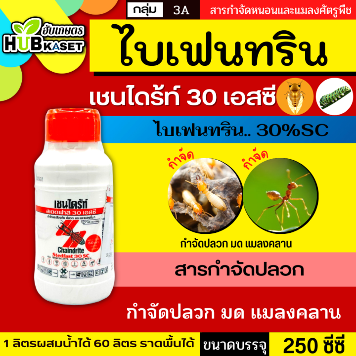 เชนไดร้ท์-สเตดฟาส-30sc-250ซีซี-ป้องกันและกำจัดปลวก-มอด-มดและแมลงอื่นๆ