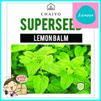 เมล็ดพันธุ์เลมอนบาล์ม ชัยโย 380 เมล็ดLEMON BALM 380 SEEDS **ขายดีที่สุด**