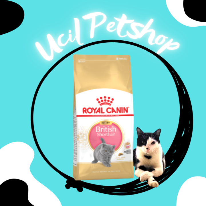 Royal Canin British Short Hair Kitten Dry Food Freshpack 2kg | Lazada ...