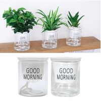 【CC】 1Pc Self-watering Flowerpot Absorption Succulent Aquaculture Transparent Round Plastic Hydroponic Pot