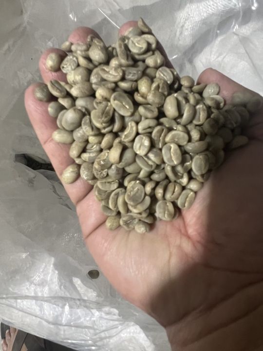 สารกาแฟ-ดอยช้าง-เกรด-aa-อราบิก้า-arabica100-crop-ใหม่