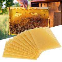 10Pcs การเลี้ยงผึ้ง Beeswax Foundation Beehive Wax Frame สำหรับขัดพื้นเฟอร์นิเจอร์