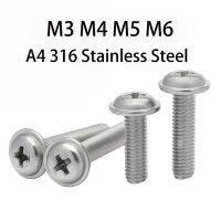 316 Stainless Steel Screws Bolt Screws Stainless Steel Marine - Grade A4 316 - Aliexpress