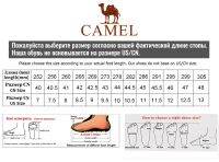 CAMEL รองเท้าผ้าใบลําลองสําหรับผู้ชายเหมาะกับการวิ่งจ็อกกิ้ง