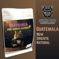 เมล็ดกาแฟกัวเตมาลา Guatemala new oriente natural