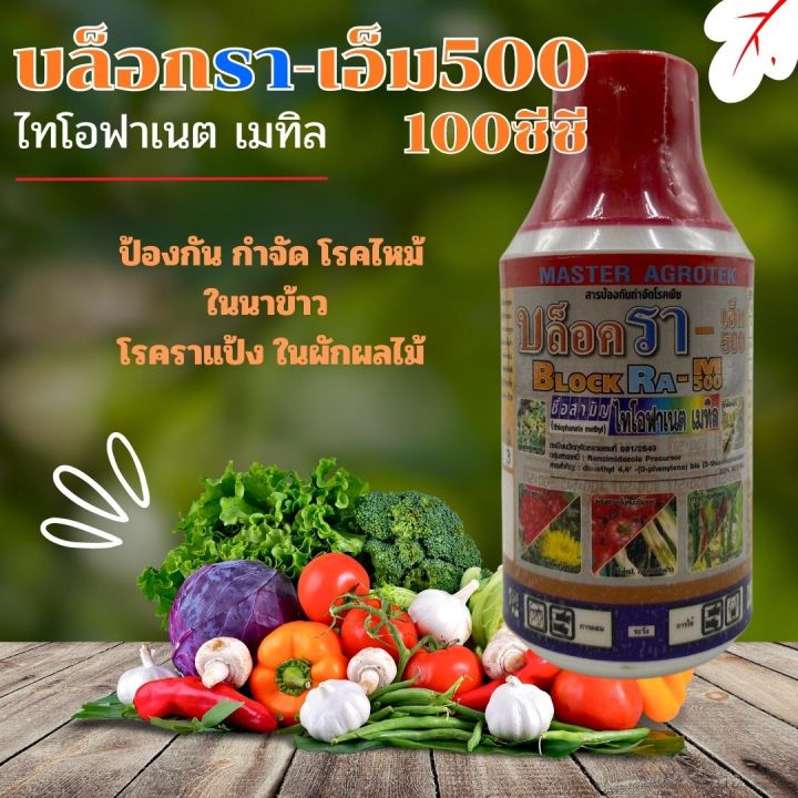 บล็กรา-เอ็ม500-ไทโอฟาเนต-เมทิล-100ซีซี-ป้องกัน-กำจัด-โรคไหม้ในนาข้าว-โรคราแป้ง-ในผักผลไม้