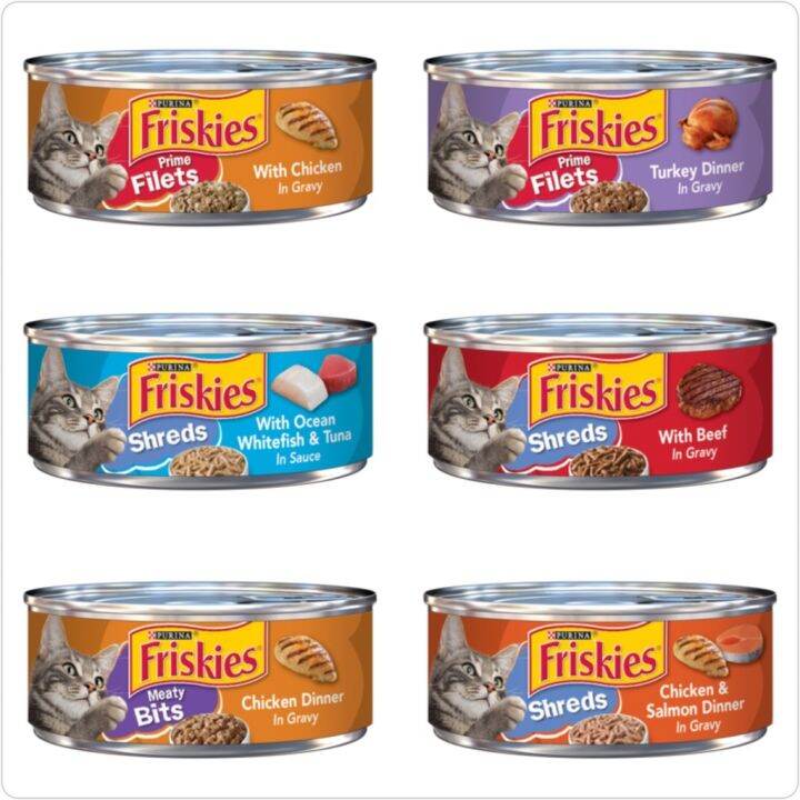 Purina Friskies Gravy Pleasers Wet Cat Food 156g | Lazada PH