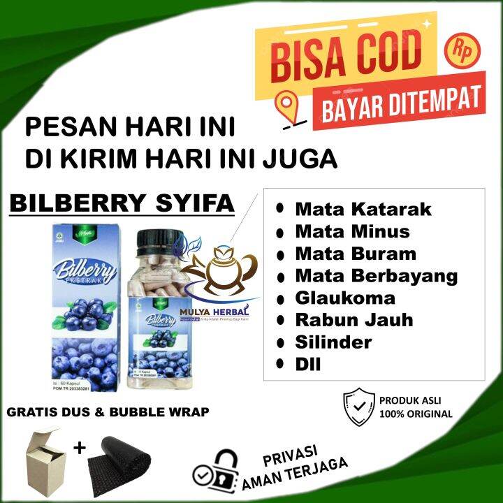 Obat Herbal Mata Bilberry Syifa Asli 100 Original Isi 60 Kapsul Alami