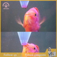 【SHZTGM】 4pcs Aquarium Red Worm Feeder กรวยให้อาหารสำหรับตู้ปลา Angel Fish Discus ปลา