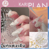 Kariplan อุปกรณ์ตกแต่งเล็บไข่มุกแบบผสม 3 d สําหรับแต่งเล็บ อุปกรณ์ตกแต่งเล็บกลิตเตอร์ สำหรับตกแต่งเล็บ NG17