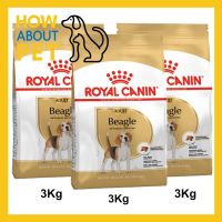 [3kg x3] Royal Canin Beagle Adult Dog Food รอยัล คานิน อาหารสุนัข พันธุ์บีเกิ้ล รัสเซล อายุ 1 ปีขึ้นไป 3กก. (3 ถุง)