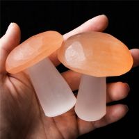 1 Pz Fungo ตกแต่ง Naturale Selenite Cristallo Di Quarzo Pietre Lucasione A Casa Guarigione Reiki Pietra Di Quarzo Naturale Selenita