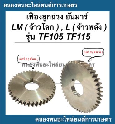 เฟืองลูกถ่วง ยันม่าร์ รุ่น TF105 TF115 L , LM ( ตัวบน , ตัวล่าง ) เฟืองลูกถ่วงTF105 เฟืองลูกถ่วงยันม่าร์ เฟืองสมดุลTF เฟืองลูกถ่วงTF115 เฟืองสมดุลTF75