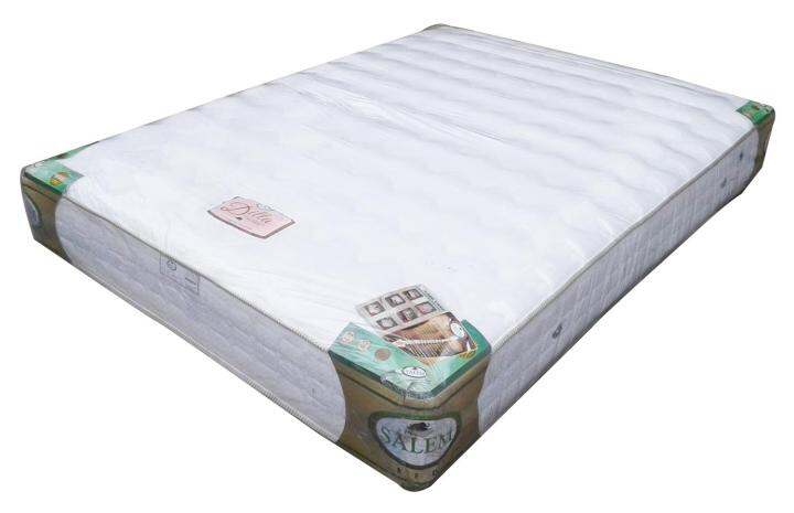 salem spring bed ditta mattress