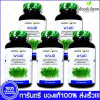 Herbal One พรมมิ Brahmi Bacopa 60 Cap. X 5 Bottle