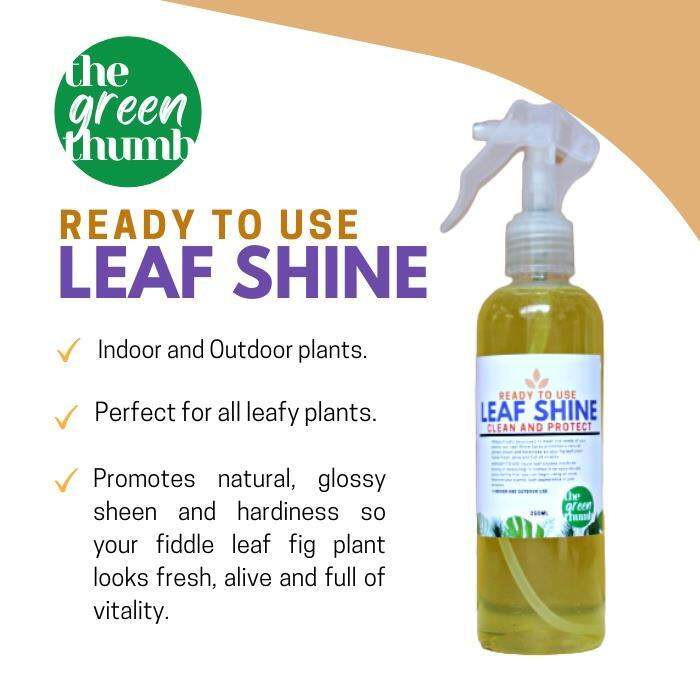 The Green Thumb (250ml READY TO USE) 100 Organic LEAF SHINE spray for