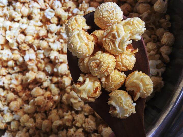 เมล็ดข้าวโพดpopcorn-เมล็ดป๊อปคอร์น-ข้าวโพดป๊อปคอน-ข้าวโพดทำป๊อปคอร์น-mushroompopcorn-ข้าวโพดมัชรูม-ป๊อบคอร์นมัชรูม-เมล็ดข้าวโพดมัชรูม-ขนาด500g