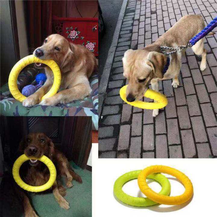 dog-toys-pet-toys-pet-flying-disk-training-ring-puller-anti-bite-floating-interactive-supplies-dog-toys-aggressive-chewing-toys