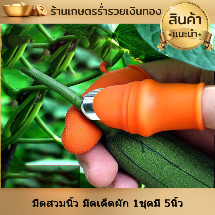 ปลอกนิ้วเด็ดผัก-มีดหยิบผัก-มีดสวมนิ้ว-มีดเด็ดผัก-1ชุดมี-5นิ้ว-เด็ดยอด-ตัดปลายยอด-หรือเด็ดผักทำครัวในบ้าน-สะดวก-เล็บไม่ดำ-งานดี