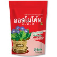 ปุ๋ยออสโมโค้ท 13-13-13 (สูตร 3 เดือน) (1kg)