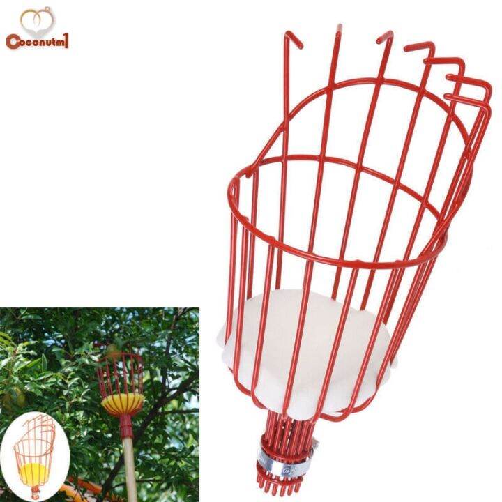 fruit-picker-basket-catcher-picking-fresh-orange-garden-tools-for-broom-pole-stick