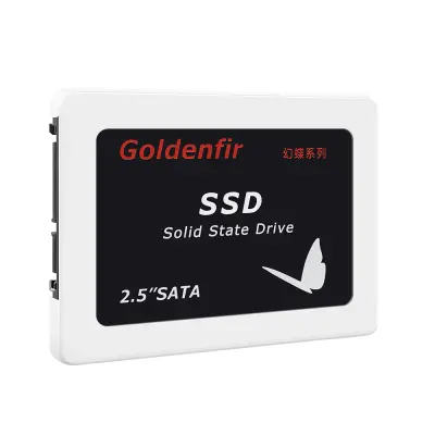 Goldenfir SSD 240GB Internal Solid State Drive Disk Disc Storage ราคาต่ำสุด
