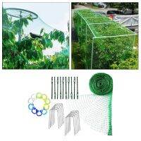 【CW】 Anti-Bird Netting 33Ftx13Ft Net Garden Fencing Mesh