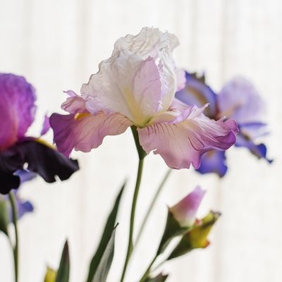 [AYIQ Flower Shop] ไอริสเทียมหรูหรามีใบไม้ดอกไม้ผ้าไหมของตกแต่งงานแต่งงานในบ้านอุปกรณ์ตกแต่งสวนดอกไม้ประดิษฐ์สีม่วง