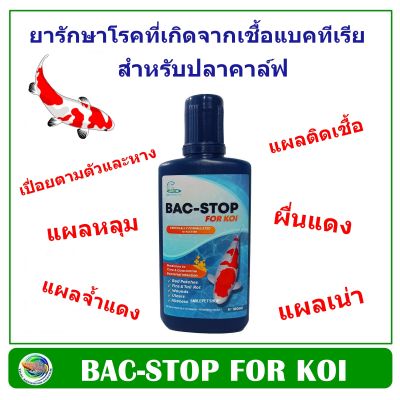 BAC-STOP FOR KOI ขนาด 100 ml. กำจัดและรักษาโรคจาก แบคทีเรีย แผลตามตัว ตกเลือด เน่าเปื่อย สำหรับ ปลาคาร์ฟ