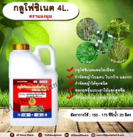 กลูโฟซิเนต ตราแมงมุม 4L. กลูโฟซิเนตแอมโมเนียม สารกำจัดวัชพืช กำจัดหญ้าใบแคบ ใบกว้าง กก หญ้าทุกชนิด