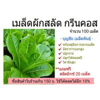 เมล็ดพันธุ์ / เมล็ดพันธุ์พืช / เมล็ดผัก / เมล็ดผักสลัด  กรีนคอส 100-125 seed (ซื้อ5แถม1) เมล็ดพันธุ์ เมล็ดผักสวนครัว พร้อมคำแนะนำการเพาะเมล็ด