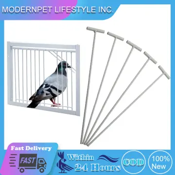 Pigeon Cage Door One Way Entrance Door Bird T Trap Birdcage Iron Wire Trap  Door for Racing Pigeon