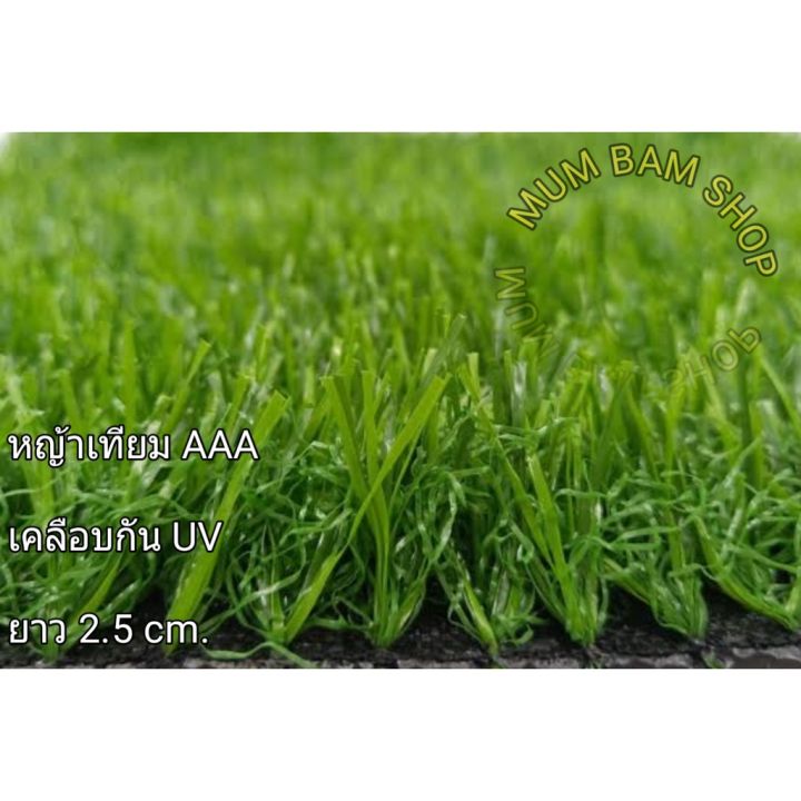 สุดคุ้ม-หญ้าเทียมยาว-2-5cm-ขนาด2x2-เกรดaaa-ราคาถูก-พรรณ-ไม้-น้ำ-พรรณ-ไม้-ทุก-ชนิด-พรรณ-ไม้-น้ำ-สวยงาม-พรรณ-ไม้-มงคล