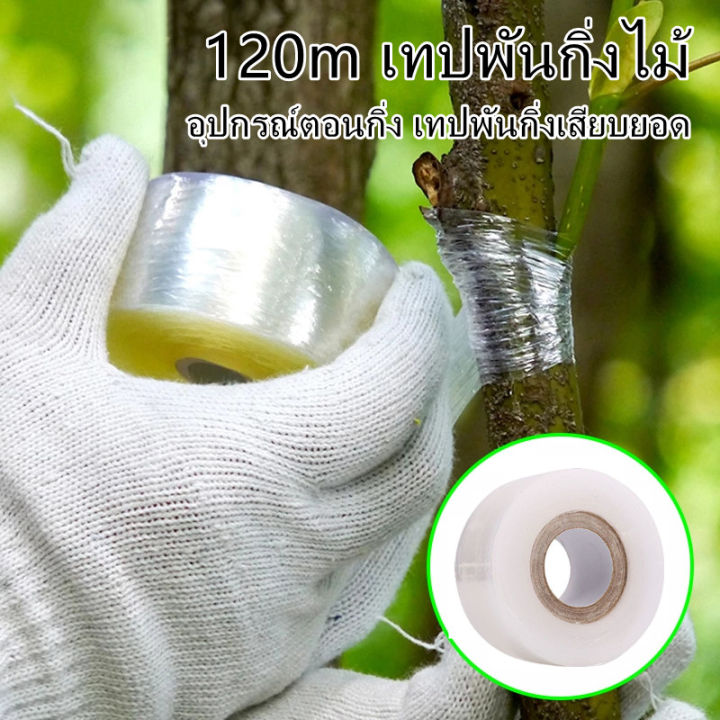 dimama-120m-เทปพันกิ่งไม้-เทปพันกิ่งทาบ-แลปพลาสติก-อุปกรณ์ตอนกิ่ง-เทปพันกิ่งเสียบยอด-เทปติดตาต้นไม้-เทปใสพันกิ่ง-ผ้าเทปพันกิ่ง