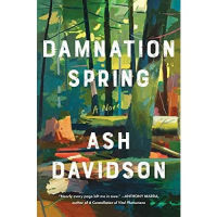 Damnation spring ash Davidson paper book