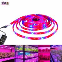 DC12V 5M SMD 5050 LED Strip Grow Lights Full Spectrum LED Flower Plant Phyto Growth Lamp For Greenhouse Hydroponic Plant Growing