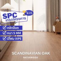 พื้น SPC คลิ้กล็อค เกรดโครงการสี Scandinavian Oak หนาพิเศษ 5MM พร้อมโฟม IXPE ในตัว (5 X 183 X 1220 Mm) 1 กล่องปูได้ 2.236 ตรม.