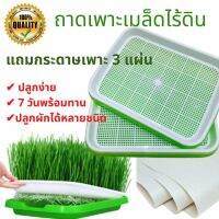 พร้อมส่ง ? ถาดเพาะต้นอ่อน ไร้ดิน Seed Sprouter Tray, Germination Tray Hydroponics Basket ไม่ต้องใช้ดิน เพาะต้นอ่อนทานตะวัน ต้นอ่อนข้าวสาลี ผักบุ้ง โตวเหมี่ยว