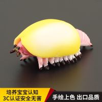 Solid childrens simulation animal toy Cambrian model Canadian shield insect arthropod cognitive gift decoration