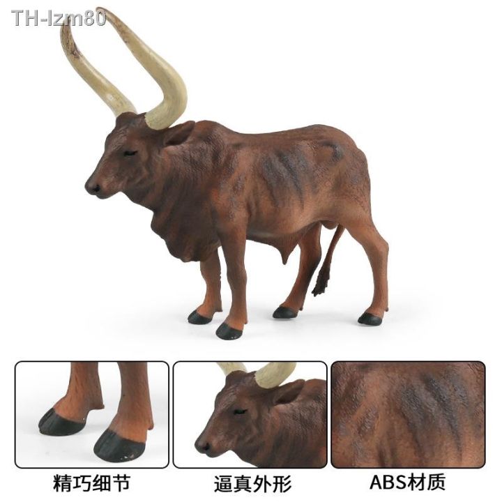 ของขวัญ-ankola-watusi-bull-รุ่น-solid-จำลองสัตว์รุ่นสัตว์ปีก-ranch-เด็กของเล่นเพื่อการศึกษาก่อนวัยอันควร