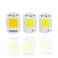 【LZ】◙✾☢  Smart led chip 20w 30w 50w ac 220v contas de lâmpada cob sem driver diy holofotes de luz ao ar livre