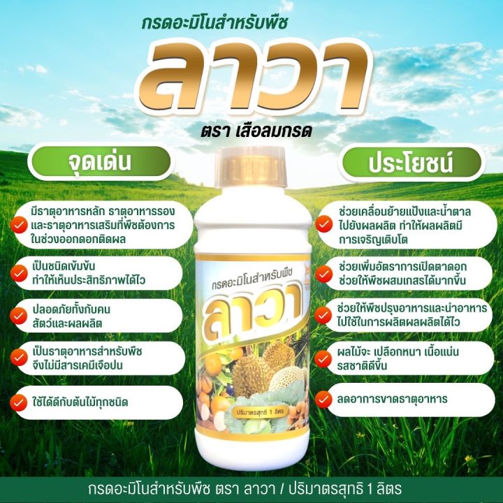 สารจับใบ-แมกม่า-maxma-กรดอมิโนลาวา-ช่วยการดูดซึม-ช่วยให้ดินนุ่มใช้ได้กับพืชทุกชนิด-ลดต้นทุน-ปุ๋ยเคมี-ต่างๆ-และไม่ทำลายสิ่งแวดล้อม