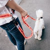 【LZ】 2022 New Adjustable Hand Free Dog Leash for Dog Pet Walking Running Jogging Dog leashes Waist Belt Chest Strap Traction Rope